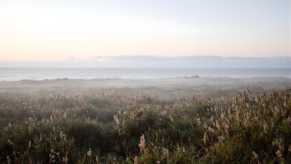 Tranquil coastal bluff at dawn with calm sea wild grass field and pastel sky Serene and picturesque nature scene for peaceful designs