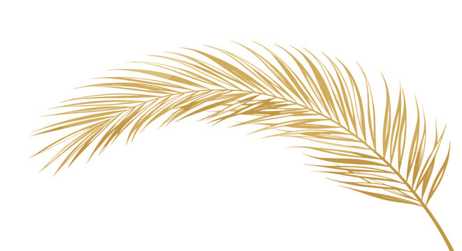 Good vector. Golden palm leaf on white background