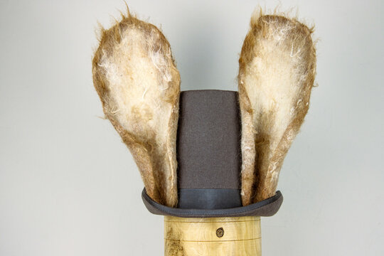March Hare Images – Browse 4,744 Stock Photos, Vectors, and