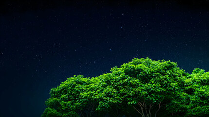 Starry Night Above Lush Green Trees