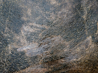 close up view of the shell texture of the Seychelles turtle (Aldabrachelys gigantea), Aldabra giant tortoise shell background