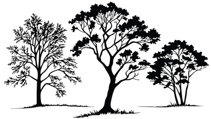 Fototapeta premium Black silhouette graphics trees 