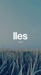 Minimalist vertical landscape of an empty grassy field under a clear sky with bold text &ldquo;lles&rdquo; &mdash; perfect for conceptual Earth Day visuals, nature-based branding and eco-oriented presentations
