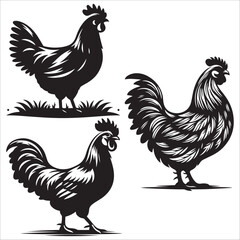 Rooster vector silhouette black color Chicken clipart on a white background