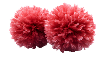 A high-definition, realistic cheerleading pom-pom pair, isolated on a white background