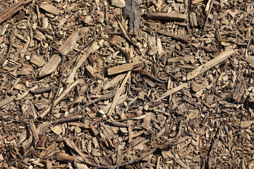 Natural Background Texture Of Brown Wood Chips, Sawdust And Bark Mulch Covering The Ground. Top Down View Of Organic Ground Cover Or Fuel Material.