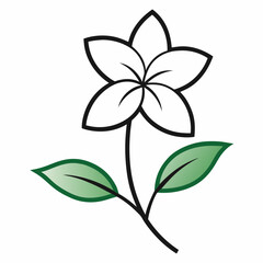 Jasmine flower line art with leaf isolated on white background