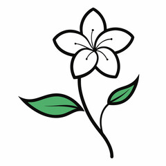 Jasmine flower line art with leaf isolated on white background