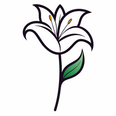 Lily flower with leaf line art isolated on white background