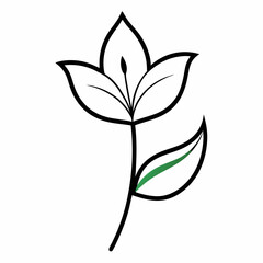 Lily flower with leaf line art isolated on white background