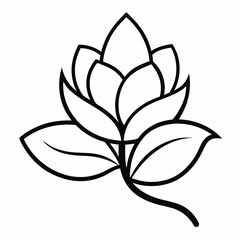 Magnolia flower with leaf line art isolated on white background