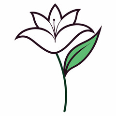Monsoon lily flower line art vector with leaf isolated on white background