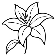 Monsoon lily flower line art vector with leaf isolated on white background