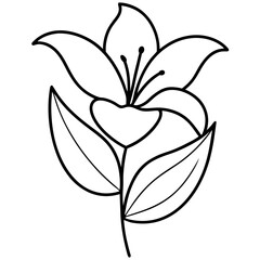 Monsoon lily flower line art vector with leaf isolated on white background