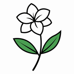 Oleander flower with leaf line art isolated on white background