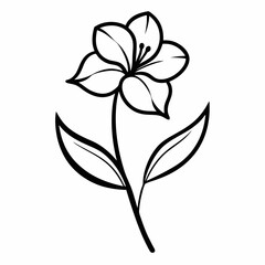 Oleander flower with leaf line art isolated on white background