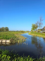 Obraz premium Canal with a gorgeous bright green weeping willow over hanging the canal banks. Vibrant woodland landscape in Spring in a public park.
