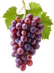 Fototapeta premium Bunch of grapes