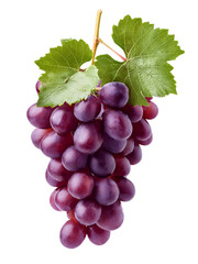 Bunch of grapes