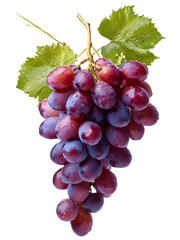 Fototapeta premium Bunch of grapes