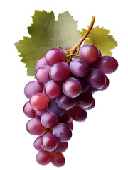 Fototapeta premium Bunch of grapes