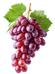Fototapeta premium Bunch of grapes