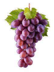 Fototapeta premium Bunch of grapes