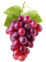 Bunch of grapes