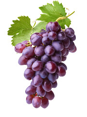 Fototapeta premium Bunch of grapes