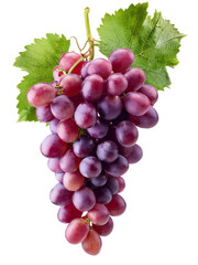 Fototapeta premium Bunch of grapes