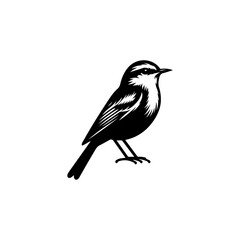 Bird Silhouette Vector