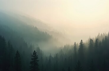 Obraz premium Mystical forest at dawn covered in fog. Silhouette of green trees. Mountain landscape scenery at sunrise. Nature travel background. Perfect for atmospheric design, adventure, hiking.