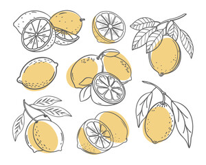 Lemon fruit outline set. Collection of lemon sketches with yellow spots. Hand drawn doodle style illustration