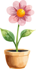 Flower in a pot watercolor vector illustration.