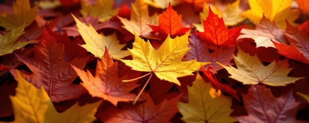 Fototapeta premium Golden yellow leaves nestled in a pile of reds and browns , photography, depth, leaves