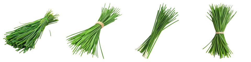 Bunch of fresh chives Isolated on transparent background. PNG , Set of