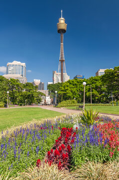The beautiful Sydney Tower Eye, Australia, against the blue sky on a sunny day.