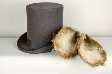 Felted  ears on a top hat.  White rabbit or march hare hat. Bunny ears attached to the top hat on...
