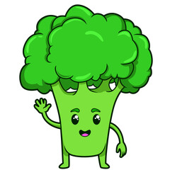 Der Brokkoli winkt fröhlich und zeigt seine buschige grüne Krone.
