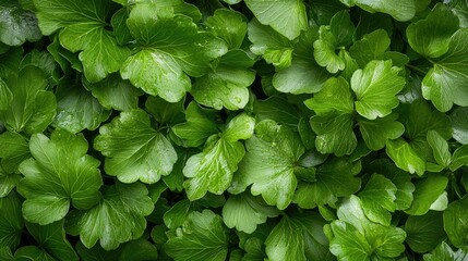 Vibrant green chopped herbs close up texture high resolution culinary food photography