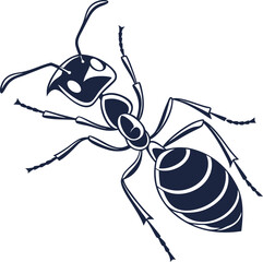 vector illustration of a spider on a white background