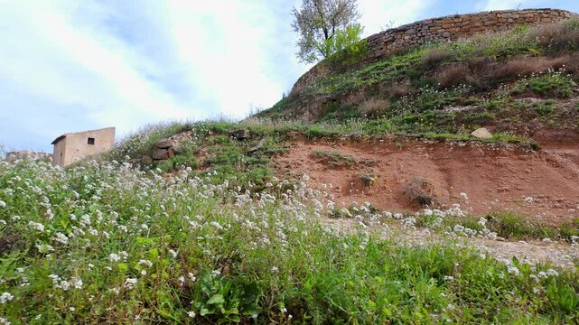 Trail with wildflowers in the medieval village of Valderrobres, Teruel.