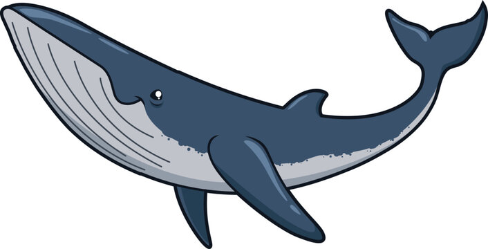 Schlanker Wal mit langem Maul &ndash; elegantes Meerestier im Cartoon-Look f&uuml;r Unterwasserwelten.
