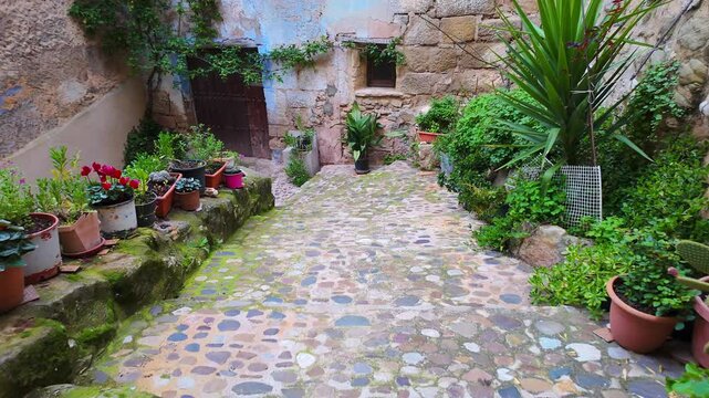 Cobbled streets with pots with flowers and plants next to the stone houses, Valderrobres, Teruel.