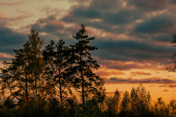 Vivid october day in colorful forest, maple autumn trees road fall way. Road through the autumn forest in october in Latvia