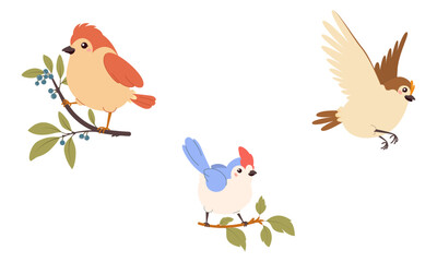 Cute birds on branches and in flight. Adorable vector illustration for children's designs, nursery prints, greeting cards and nature-themed projects. Bright and cheerful collection.