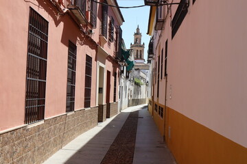 Rue pavée typique dans la vieille ville, ville de Cordoba, région d'Andalousie, Espagne
