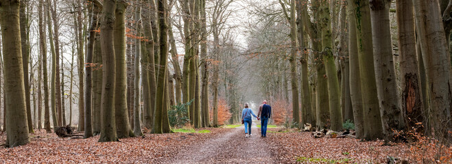 couple of man and woman hold hands while walking on forest road in the netherlands