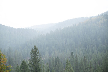 fog in the mountains