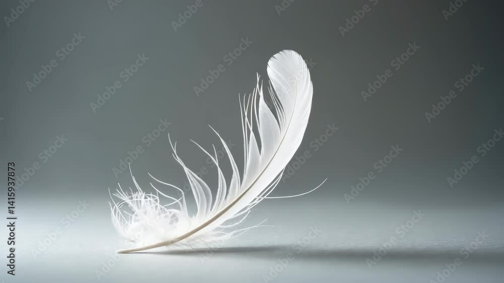 Poster abstract of white bird feathers falling through the air with soft texture on gray background